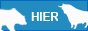 FOREX Broker